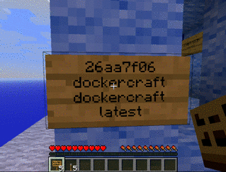 Dockercraft